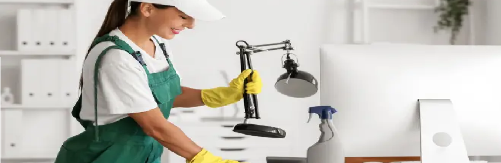 limpeza terceirizada ou feita internamente